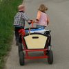 Bollerwagen aus Holz