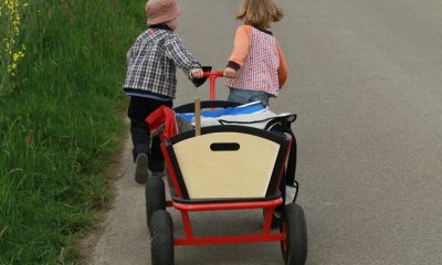 Bollerwagen aus Holz