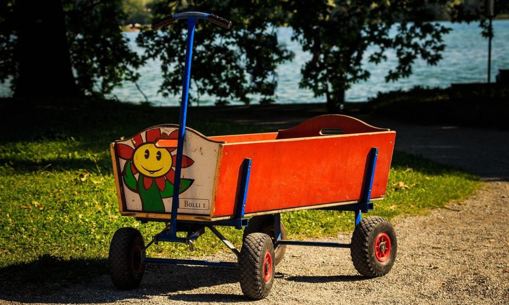 Bollerwagen Kinder - Transportwagen online kaufen