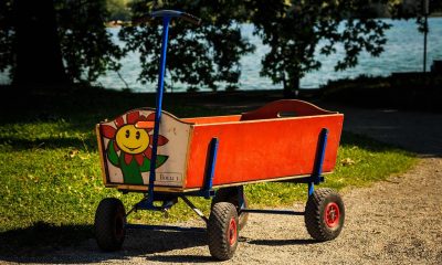 Kinder Bollerwagen