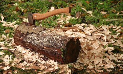 Holzspalter mit Zapfwelle