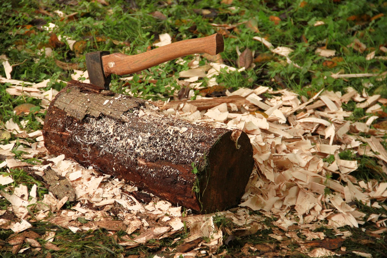 Holzspalter mit Zapfwelle