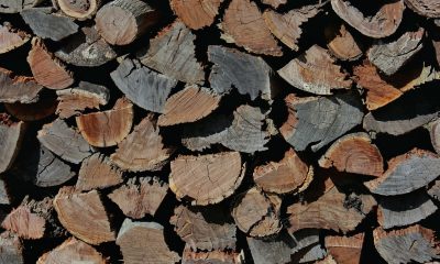 Holzspalter gebraucht