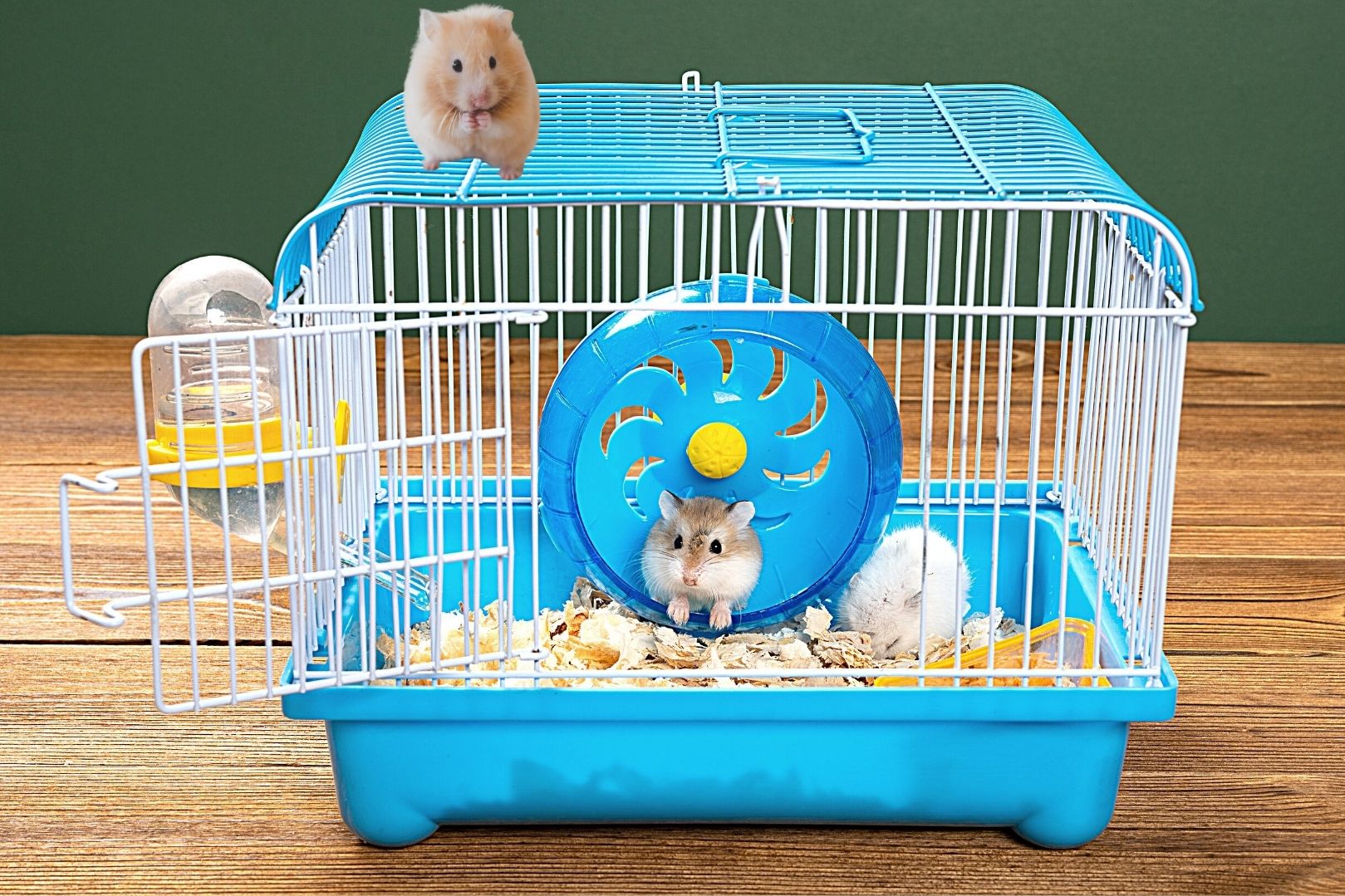 Hamsterkaefig